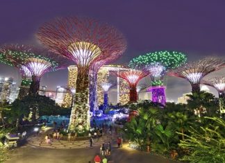 Kinh nghiệm khám phá Garden By The Bay trong tour du lịch Singapore Kinh nghiệm khám phá Garden By The Bay trong tour du lịch Singapore