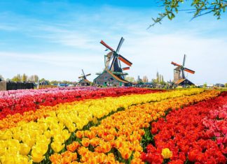Hà Lan – Quốc gia hạnh phúc trên thế giới