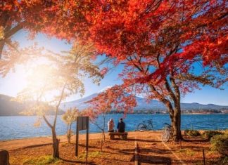 Vẻ đẹp thơ mộng đầy lãng mạn của hồ Kawaguchi nổi tiếng Nhật Bản Vẻ đẹp thơ mộng đầy lãng mạn của hồ Kawaguchi nổi tiếng Nhật Bản